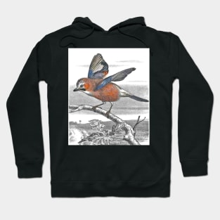 Beautiful bird Hoodie